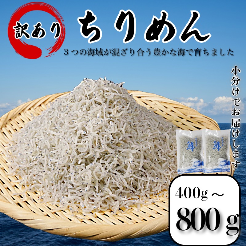 訳あり ちりめん 400g~800g 国産 ちりめんじゃこ しらす 小魚 こざかな 海鮮 米 ご飯 と一緒に 徳島 小松島市 規格外 人気 冷蔵 小分け